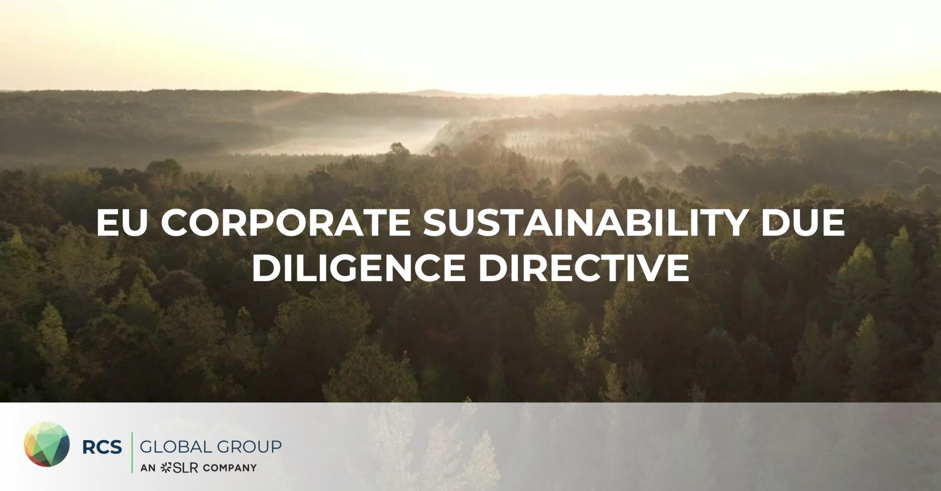 The EU Corporate Sustainability Due Diligence Directive: What Does ...